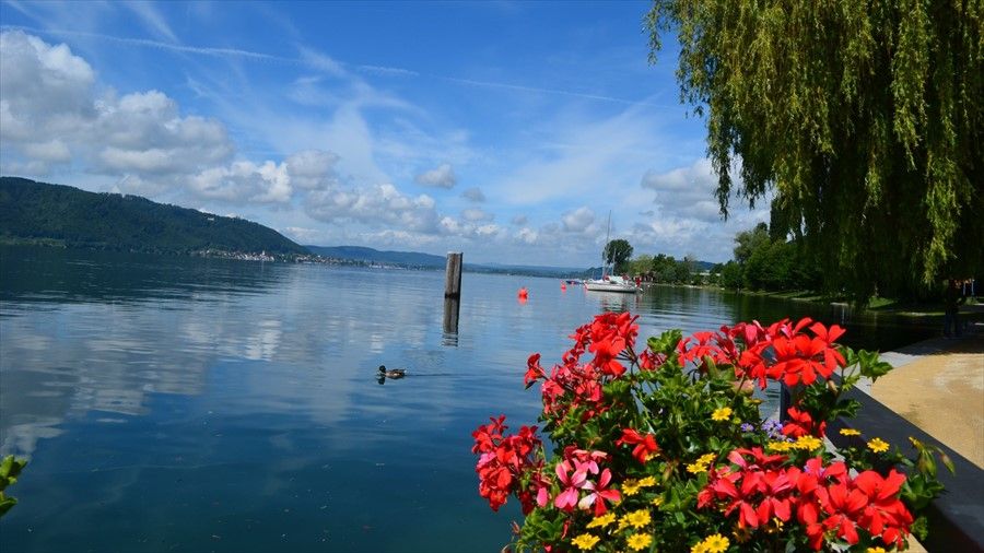 Outdoor Pictures 20