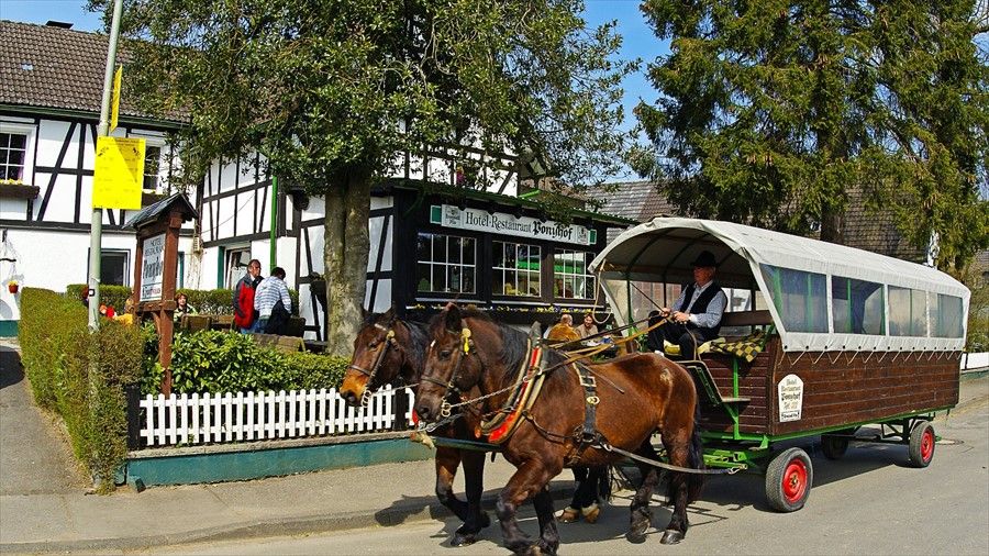 Ponyhof
