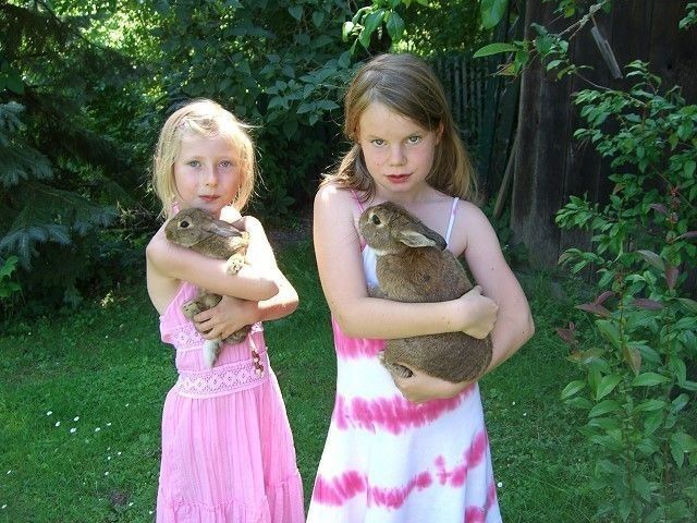 Outdoor Pictures 18