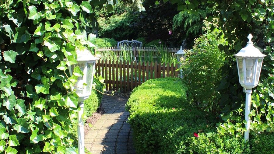 Outdoor Pictures 21
