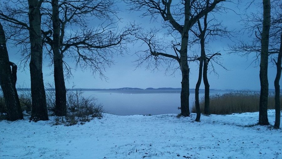 Outdoor Pictures 12