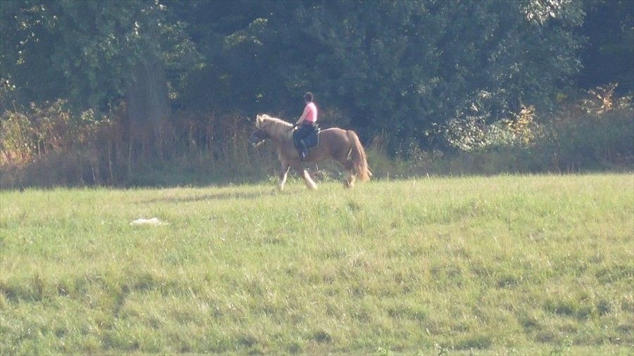 Outdoor Pictures 3