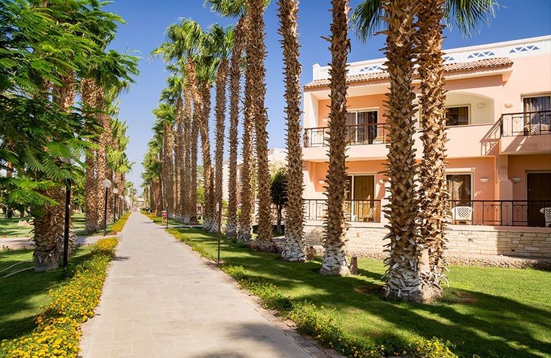 Beach Albatros Resort - Hurghada