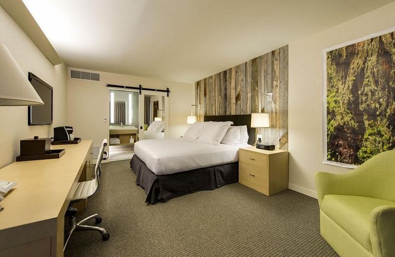 Hotel Paradox, Autograph Collection