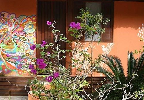 Outdoor Pictures 16