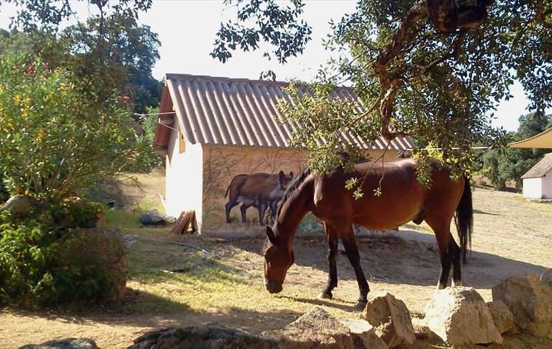 Borgo di Campagna