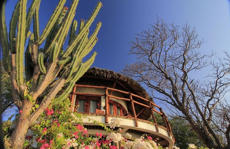 Zoa Hotel