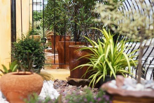 Outdoor Pictures 23