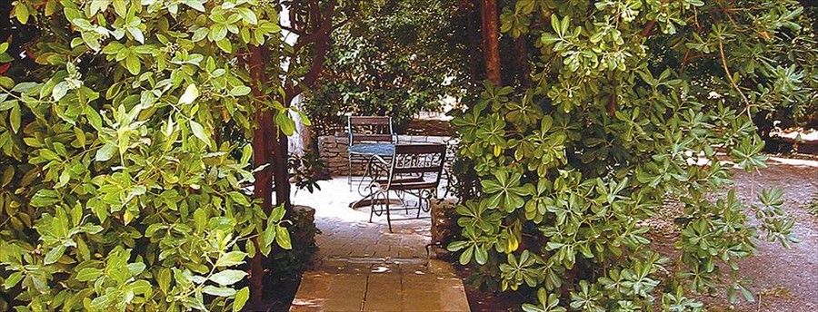 Outdoor Pictures 21