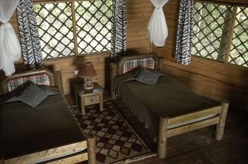 Forest Hog Safari Lodge