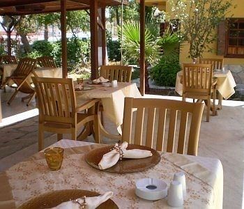 Outdoor Pictures 9