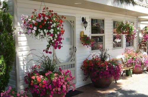 Outdoor Pictures 9