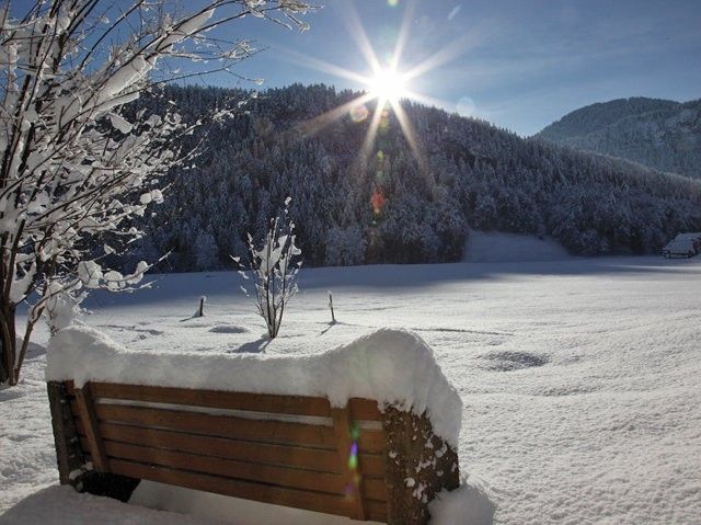 Outdoor Pictures 8
