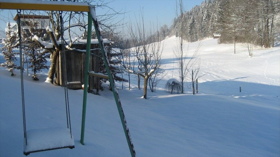 Outdoor Pictures 7