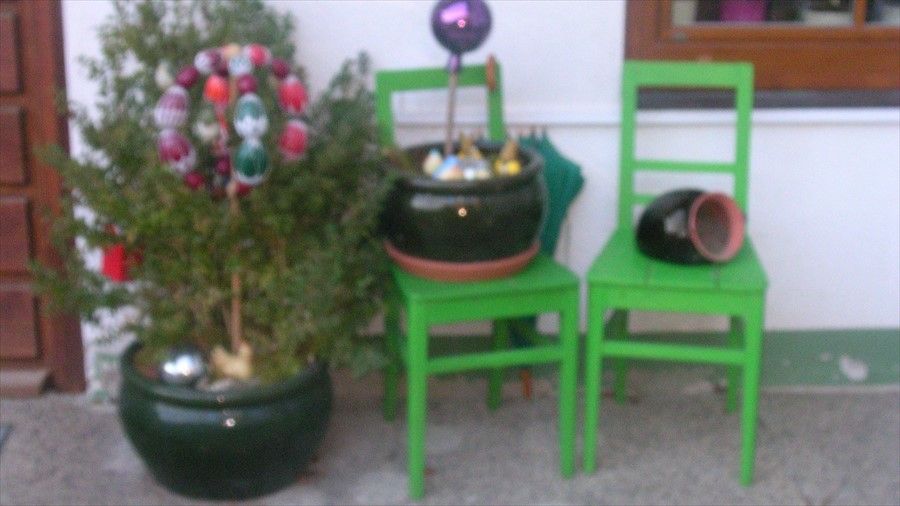 Outdoor Pictures 12