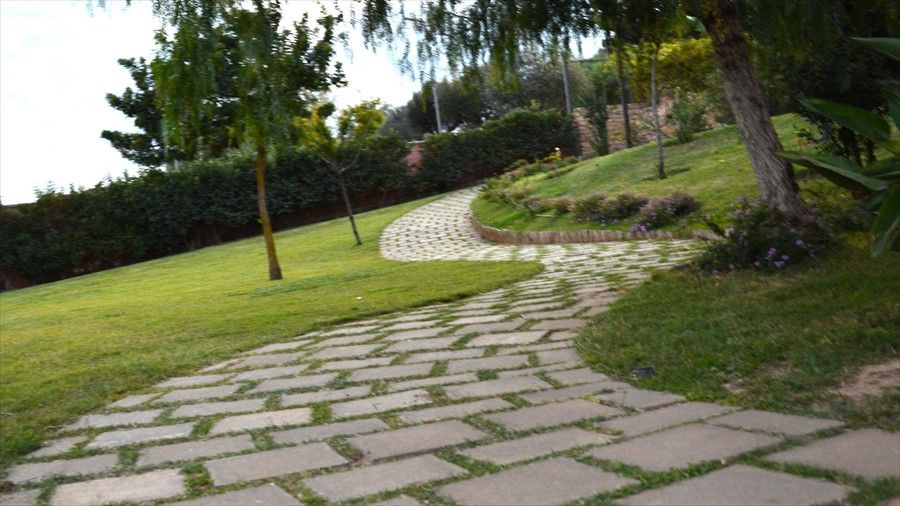 Outdoor Pictures 17