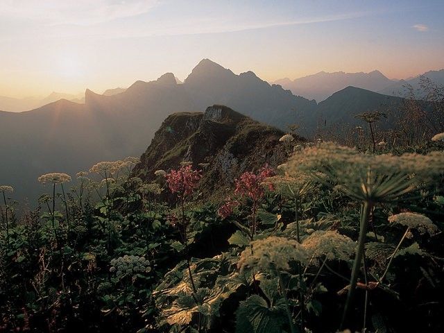 Outdoor Pictures 1