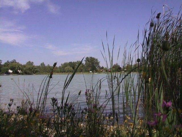 Outdoor Pictures 18