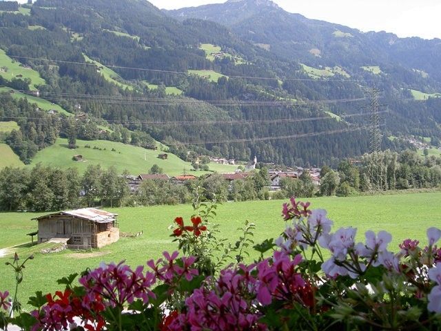 Outdoor Pictures 3
