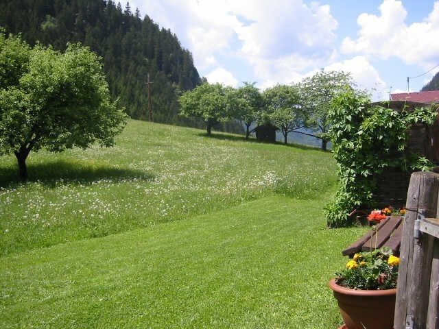 Outdoor Pictures 7