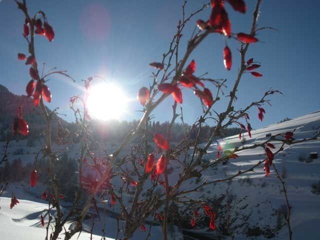 Outdoor Pictures 24