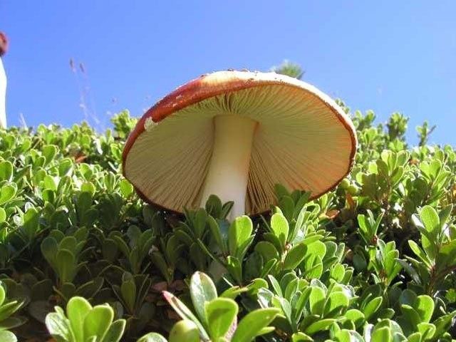 Outdoor Pictures 18