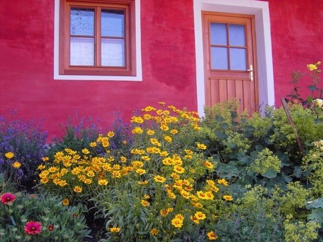 Outdoor Pictures 1