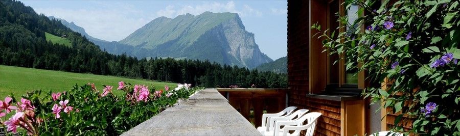 Outdoor Pictures 1