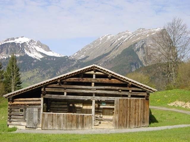 Outdoor Pictures 4