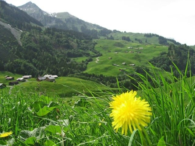 Outdoor Pictures 1