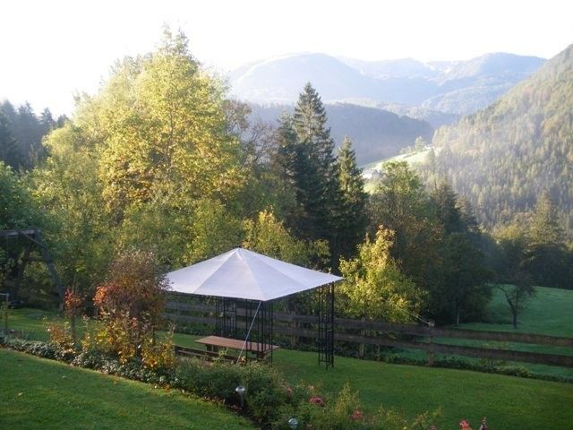 Outdoor Pictures 5