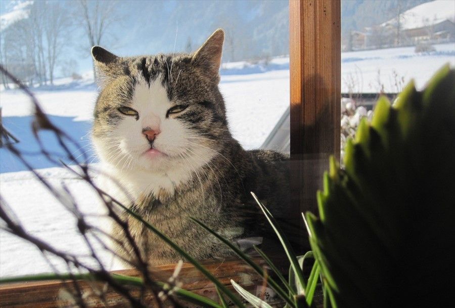 Outdoor Pictures 13