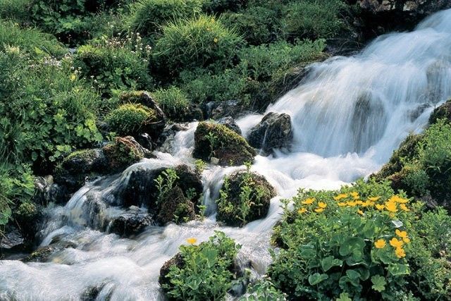 Outdoor Pictures 19