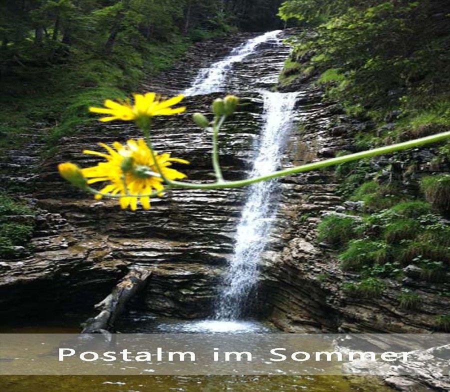 Outdoor Pictures 1