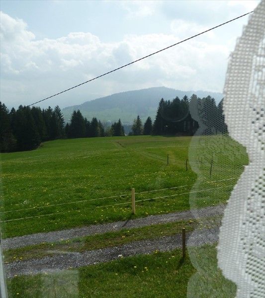 Outdoor Pictures 3