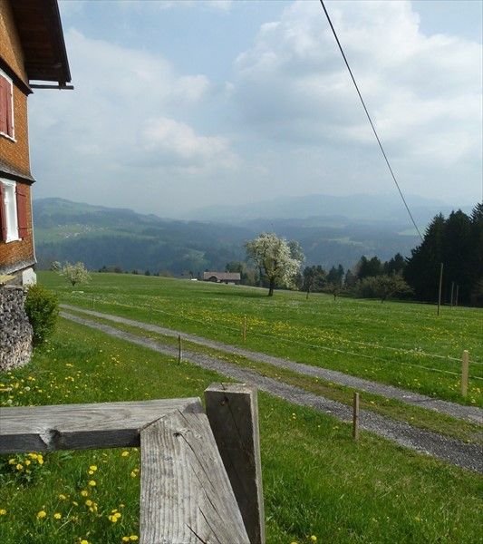 Outdoor Pictures 5