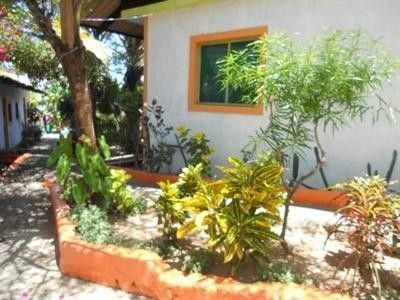 Outdoor Pictures 3