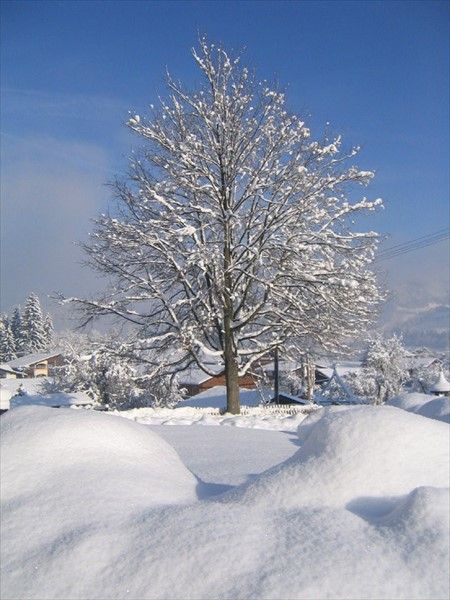 Outdoor Pictures 7