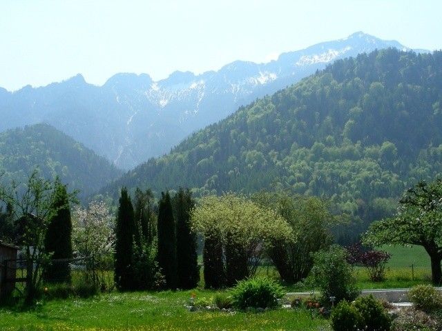 Outdoor Pictures 3