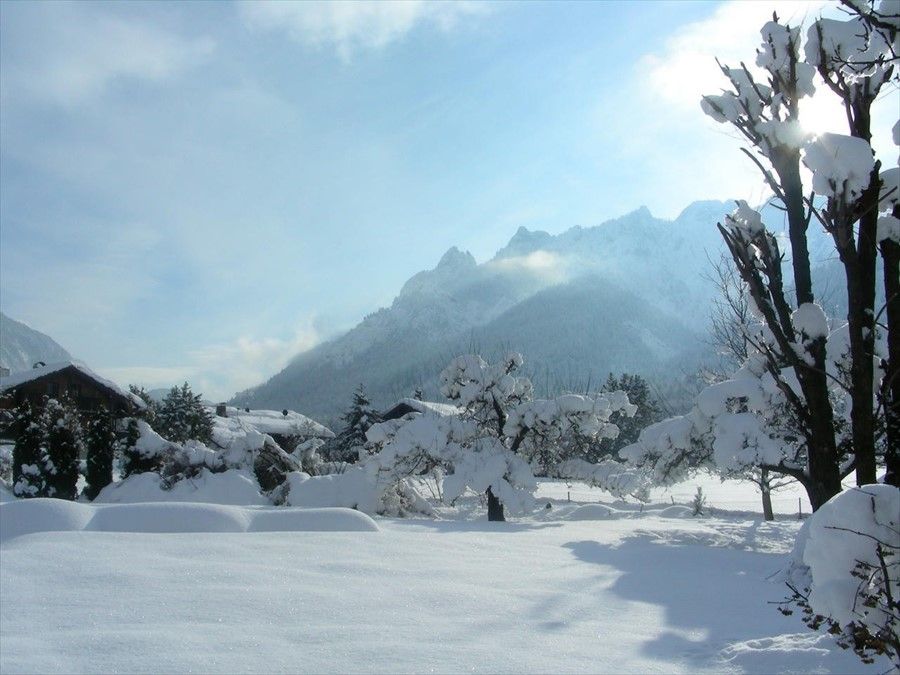 Outdoor Pictures 1