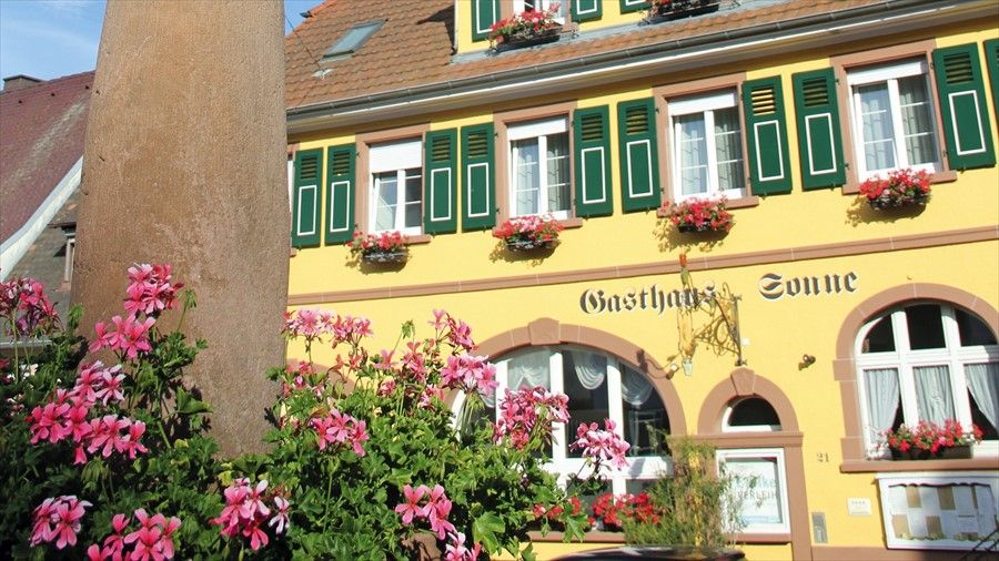 Outdoor Pictures 24