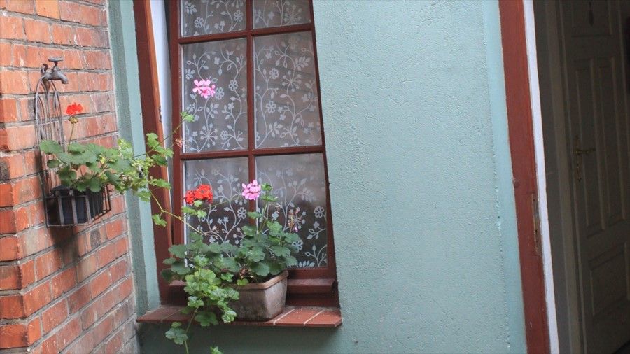 Outdoor Pictures 15