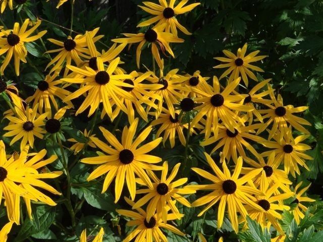 Outdoor Pictures 4