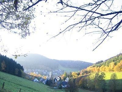 Outdoor Pictures 21
