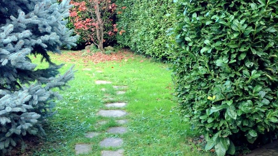 Outdoor Pictures 21