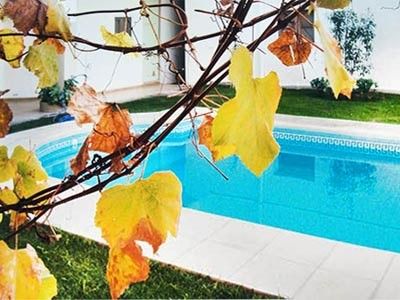 Outdoor Pictures 3