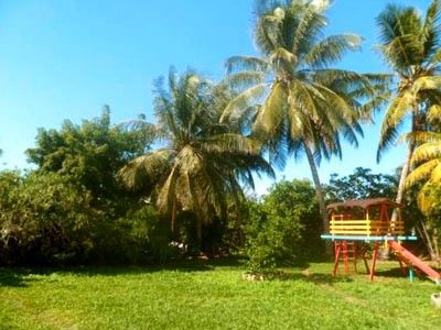 Outdoor Pictures 21