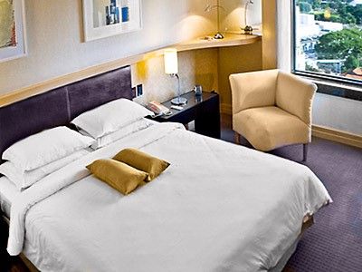 Pullman Sao Paulo Ibirapuera