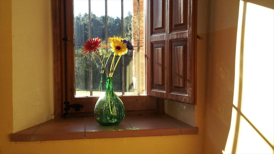 Outdoor Pictures 11