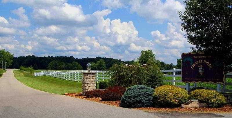 Outdoor Pictures 21
